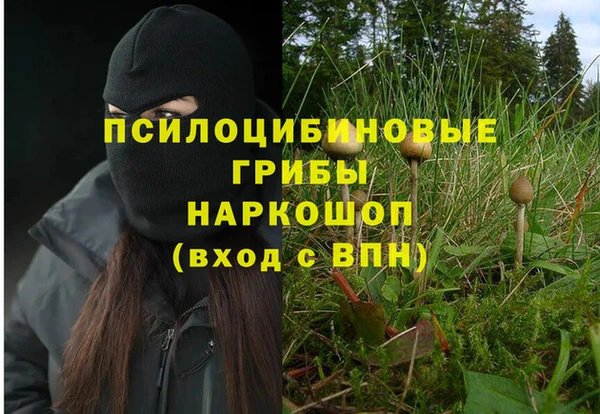 спайс Пролетарск