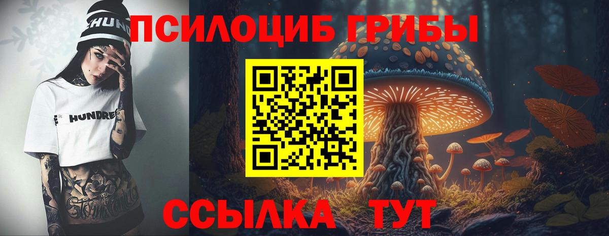 Псилоцибиновые грибы MAGIC MUSHROOMS Боровичи