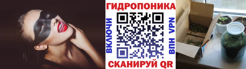 купить наркотик  Боровичи  Бошки Шишки AK-47 